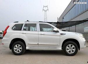 国产陆巡爬坡视频,挑战极限的爬坡壮举