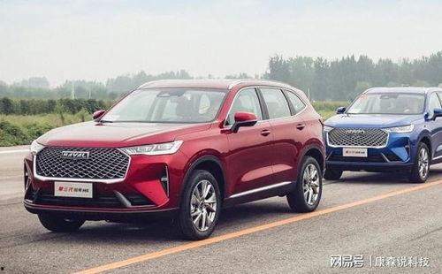 国产suv冠军视频大全