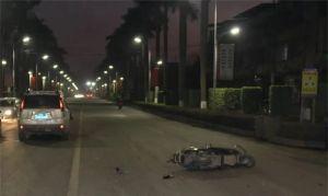 鲤鱼门在线视频国产,国产影视新篇章的开启