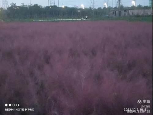 国产乱子伦视频二区,揭秘神秘内容，带你领略独特风情