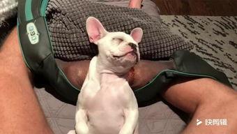 国产幽默搞笑推拿视频,按摩师教你如何用幽默治愈身心