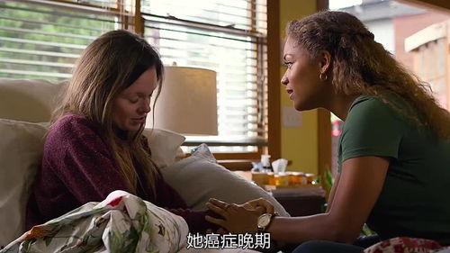 国产情感剧全集解说视频,情感纠葛，人生百态