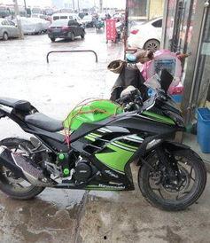 国产小忍者双杠改装视频,创意无限，玩转健身新高度