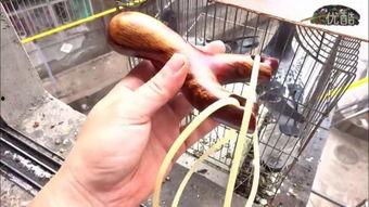 观看更多国产弹弓视频,国产弹弓视频盛宴解析