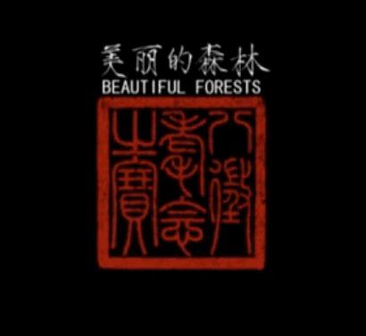 激励台词国产动画片视频,共筑未来——国产动画片激励台词视频赏析