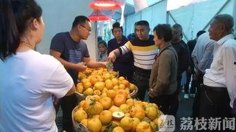 国产水果试吃视频大全