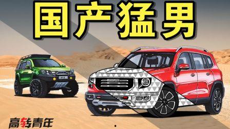 国产车挖土视频大全集,挖土视频大全集震撼来袭！