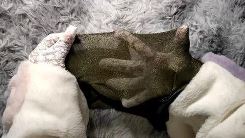 国产丝袜开箱视频大全集,国产丝袜开箱视频大全集精彩回顾