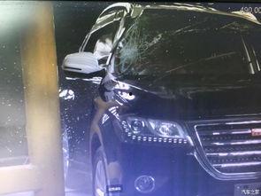 国产h2极速视频